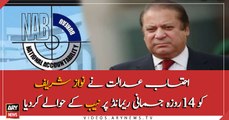 Nawaz Sharif handed over to NAB for 14 days by Accountability court