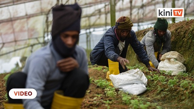 Gov't announces incentives for local workers who replace foreigners