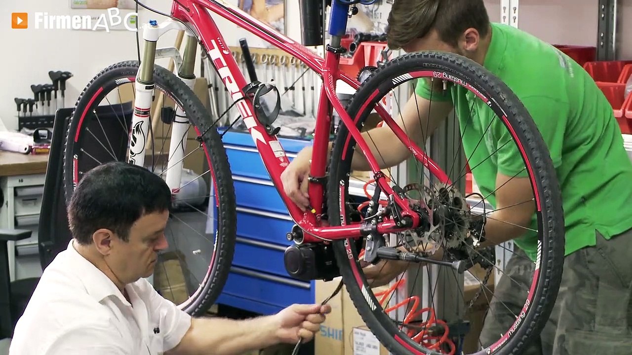 Schachner GmbH – E-Autos, Citybikes und E-Scooter in Seitenstetten