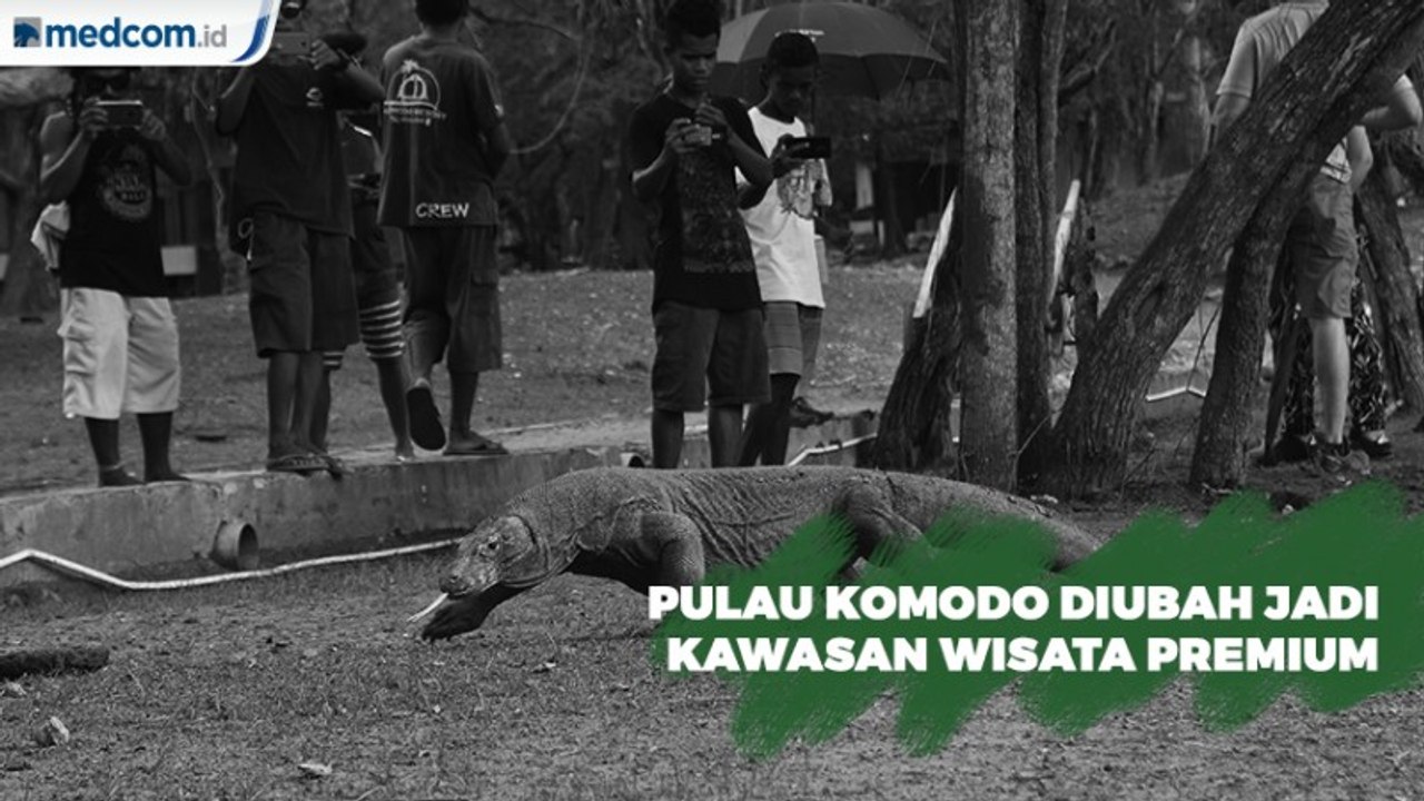 Taman Nasional Komodo akan Dijadikan sebagai Kawasan Wisata Premium