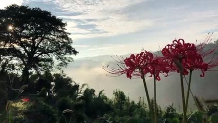 Beau paysage au Japon