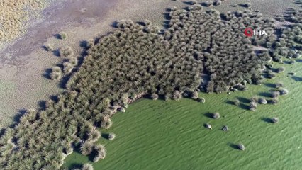UNESCO tarafından daimi listeye alınması için çalışan Kızılırmak havadan görüntülendi