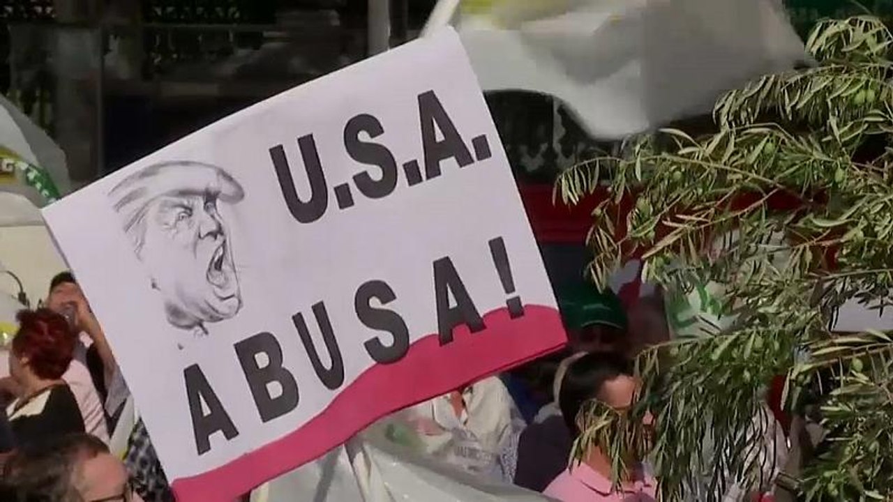 US-Strafzölle: 'Sie werden die traditionellen Olivenhaine ruinieren'