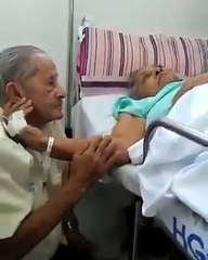 variety watsapp status video