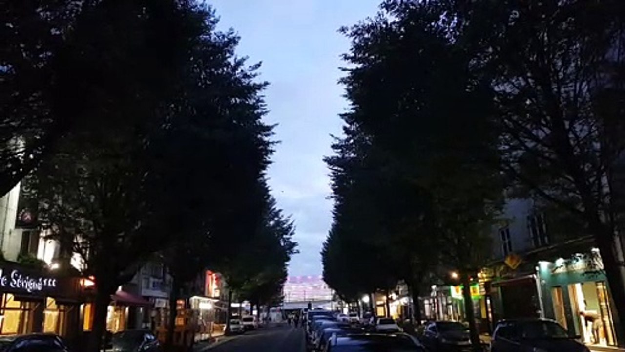 A Rennes, les étourneaux de l'avenue Jean Janvier se font entendre à la nuit tombée.