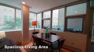 Fully Furnished Two Bedroom| Elevator Building| Lower East Side| Ludlow St. & Broome St.