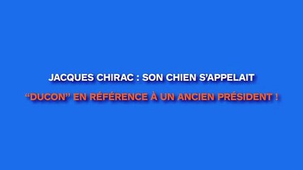 Jean Chirac : son chien appelé Ducon en référence à un ancien président