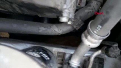 Van'da mahsur kedi ve keçiler kurtarıldı