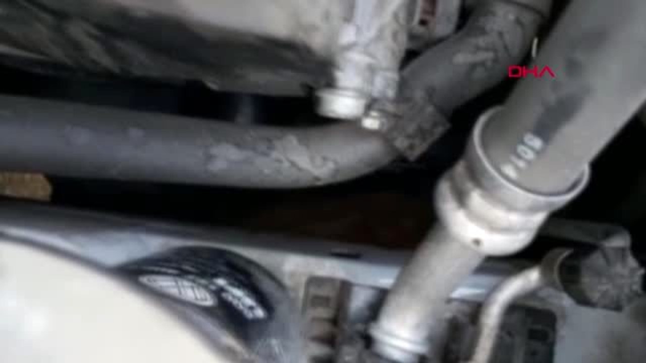 Van'da mahsur kedi ve keçiler kurtarıldı