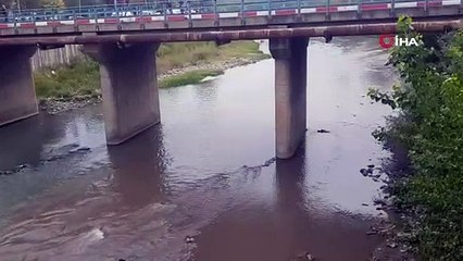 Karabük’te balık ölümleri tedirgin etti