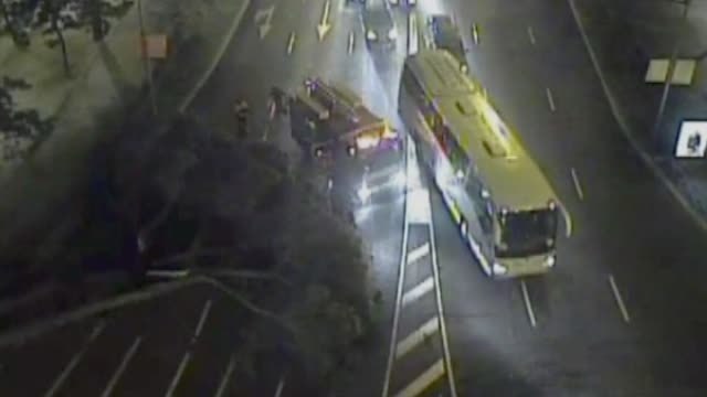 El árbol caído en Paseo de la Castellana había sido revisado en Mayo