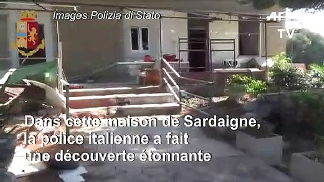 Italie: derrière une cabine de douche... une plantation de marijuana