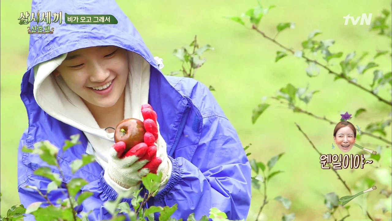비도 오고 그래서 사과 생각이 났어♬ 모닝 텃밭 털이도 통 크~게