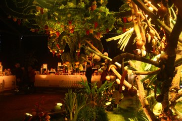 Mulhouse : "Une tomate, elle n'est pas juste rouge ou ronde"