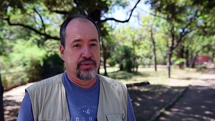 Pioneirismo primata