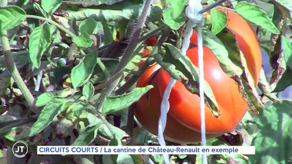 CIRCUITS COURTS La cantine de Château-Renault en exemple