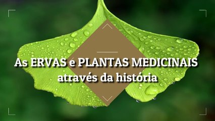 As ERVAS e PLANTAS MEDICINAIS atraves da historia