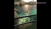 Este hombre se desnuda y sumerge en un acuario lleno de tiburones