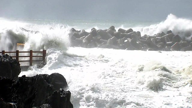 [날씨] 태풍 '하기비스' 간접 영향...동해안 초속 25∼30m 돌풍 예상 / YTN