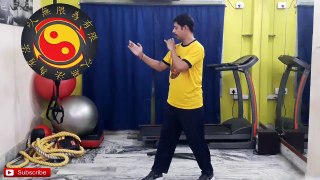 Advanced Jeet Kune Do Training The Phoenix Eye Fist (凤凰眼拳)/ Foon Nun Kune in [Hindi - हिन्दी],