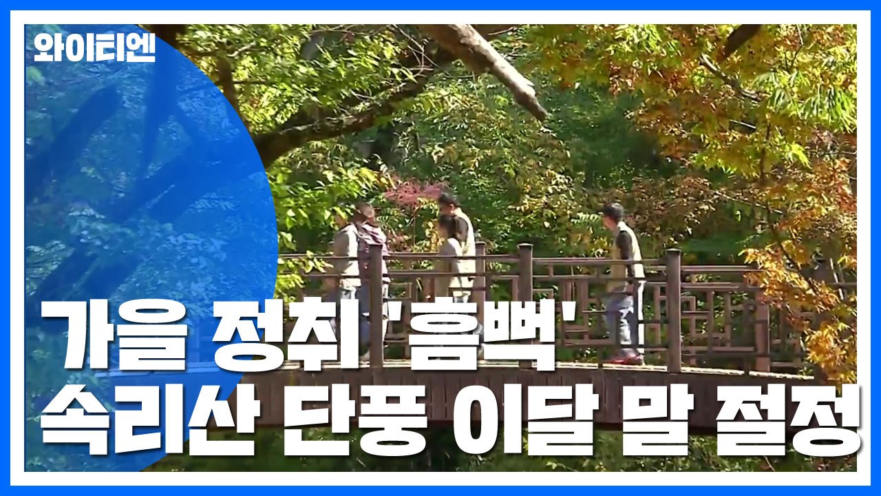 가을 맞아 등산객 북적...속리산 단풍 이달 말 절정 / YTN