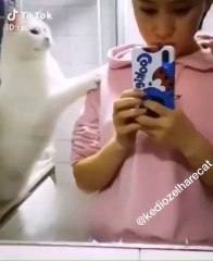 Niye böyle şeyler yapıyosun psikolojik deli