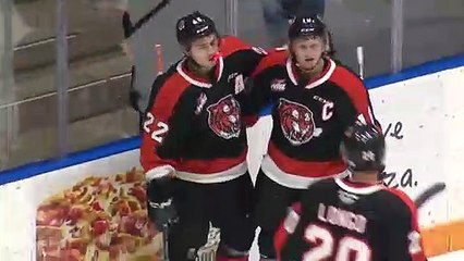 Highlights: ICE (2) at Tigers (5)
