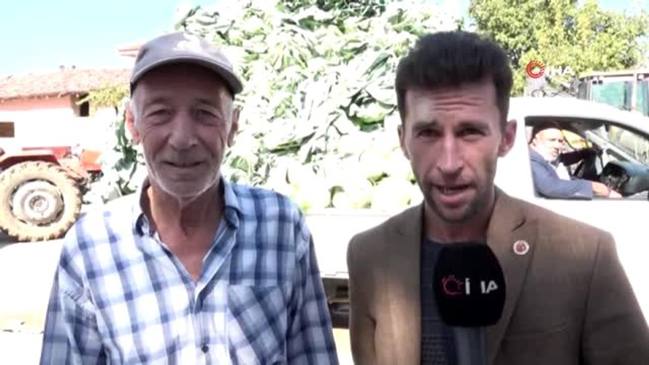 Karnabahar tarlada 3 lira, pazarda 7 lira