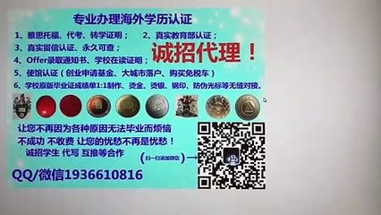 办美国毕业证Q/微1936610816在哪里可以购买南佛罗里达大学毕业证成绩单USF文凭留服认证留信认证使馆公证Offer学生卡