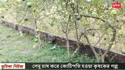 লেবু চাষ করে জিরো থেকে হিরো 2