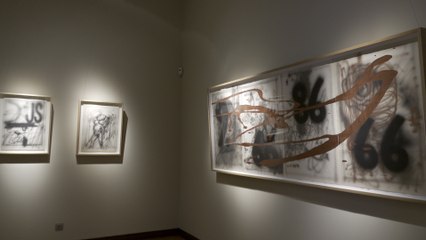 Exposición inédita de Dario Urzay en Bilbao