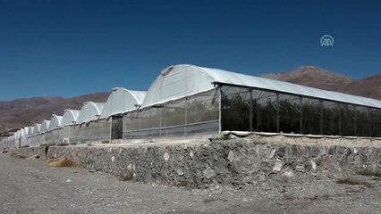 Ahıska Türkleri ekonomiye katkı sağlıyor