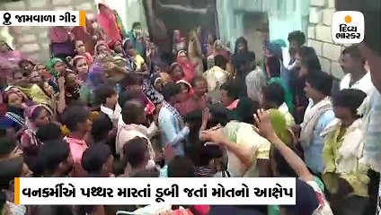 ઊનામાં નદીમાં માછલી પકડતા બે ભાઇની પાછળ વનકર્મીએ પથ્થર માર્યાનો આક્ષેપ, 1નું મોત