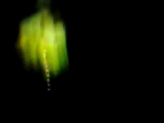 tokio hotel a amnéville