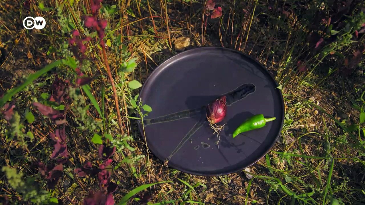 Vegetarisch mit Stern: "Seven Swans" | Euromaxx