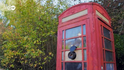 Kamera aus Käse | Euromaxx