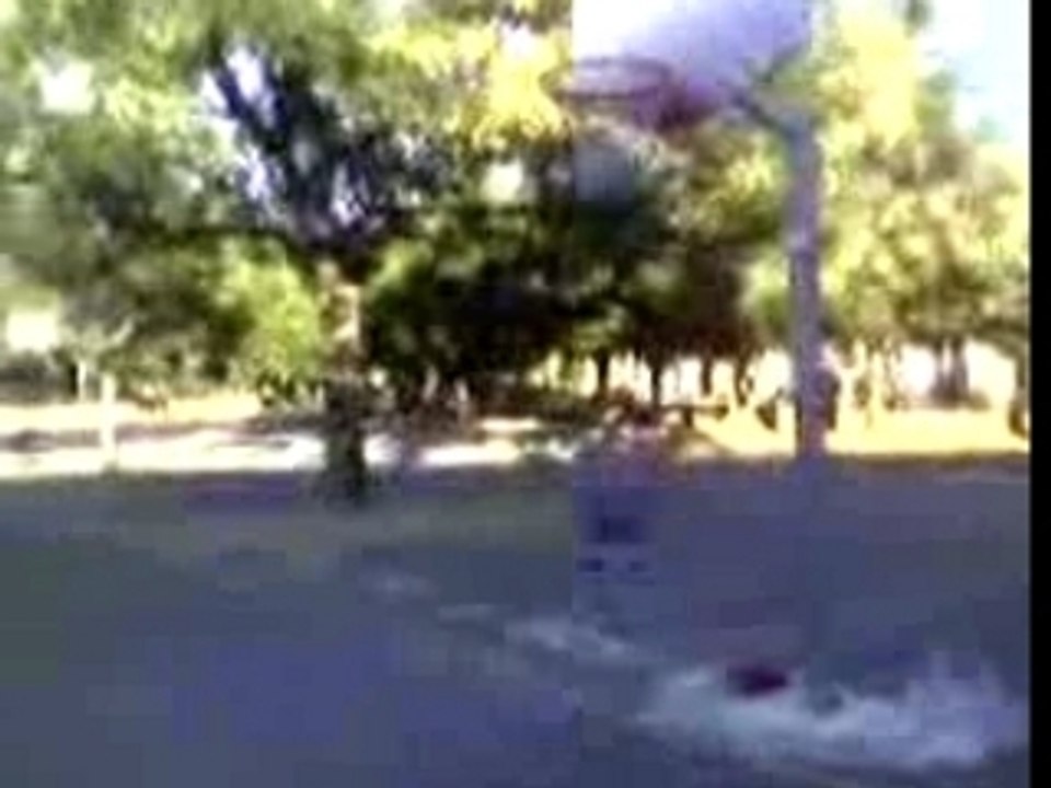 mehd dunk