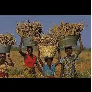 Souvenir : Les archives du Saloum