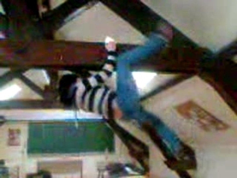 SPIDER COCHON