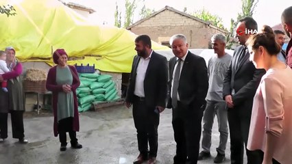 Mantarlarını aşkla üretiyorlar