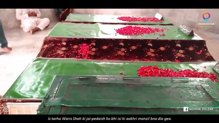 Waris Shah   with Mohsin Gulzar