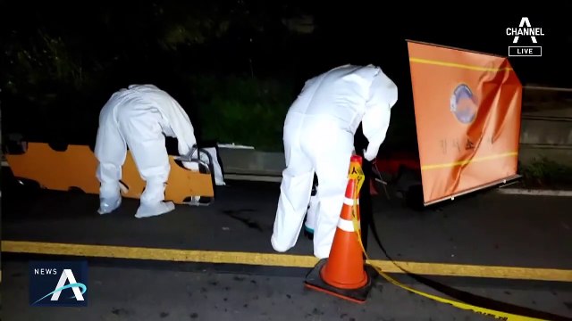 서울 도심서 출몰한 멧돼지 사살 후 방역…돼지열병 우려