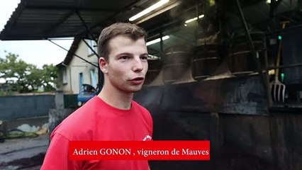 Mauves : les alambics du bouilleur ambulant sont de retour