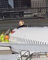 Assis sur le toit d'un avion à l’aéroport de Londres cet homme ne veut pas descendre