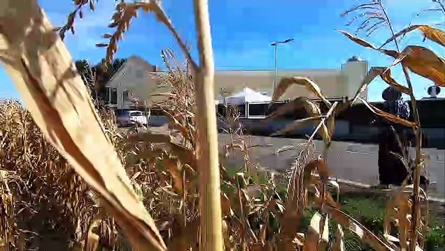 Inauguration de la mosquée Mahdi à Hurtigheim