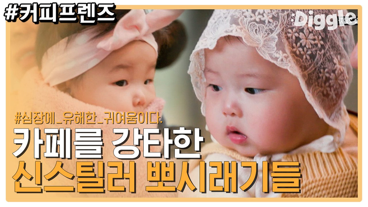 악!!! 심장 부여잡고 보세요 5959 뽀짝한 뽀시래기의 만남 ♥ 인생 도합 14개월차 | #깜찍한혼종_커피프렌즈 | #Diggle
