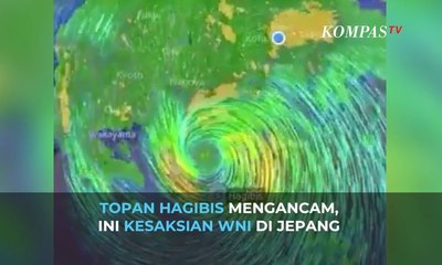 Jepang Dilanda Topan Hagibis, Ini Kesaksian WNI di Chiba