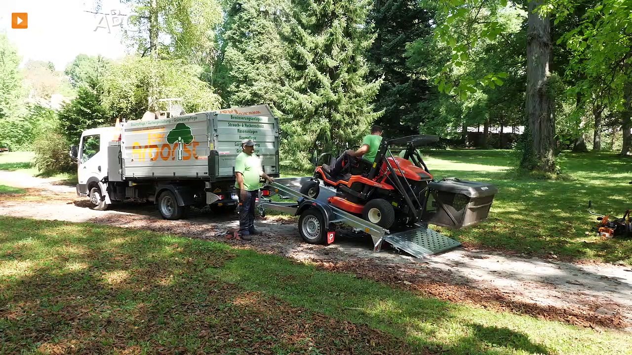 DER ARBORIST Ing. KOLLARITS GmbH – Experte in Sachen Baum- und Grünraumpflege in Wien