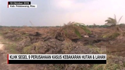 KLHK Segel 9 Perusahaan Kasus Kebakaran Hutan dan Lahan - AAS News TV