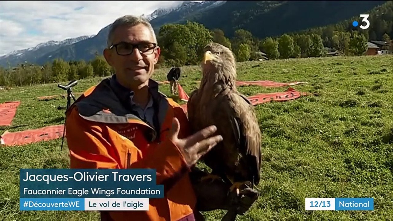 Climat : un aigle pour alerter sur le réchauffement climatique